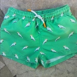 Parrot Print Kids Swim Trunks - Green
